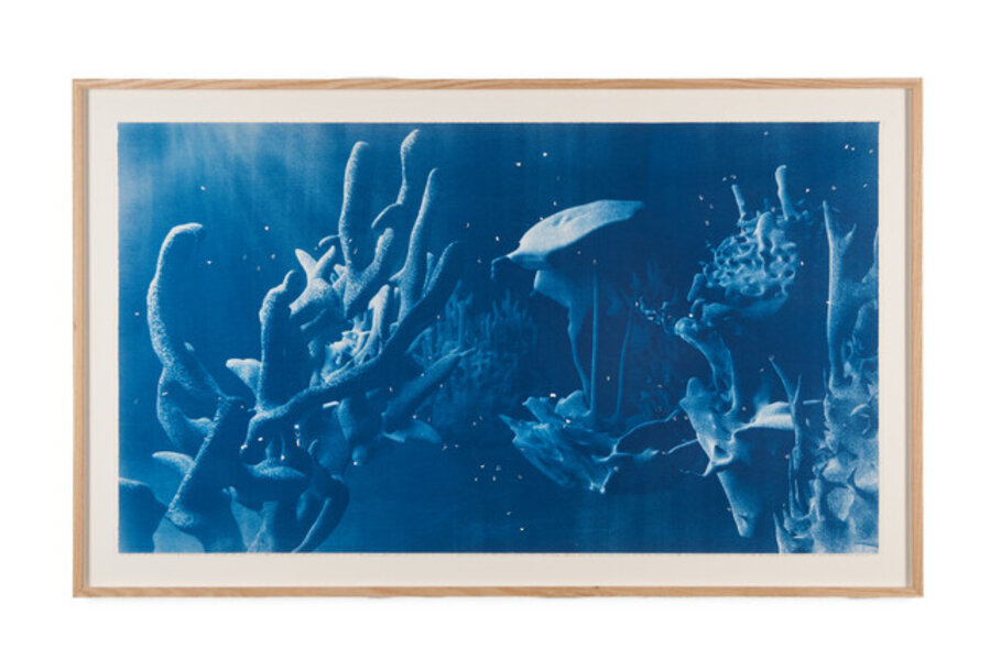Deep Blue Echoes 3