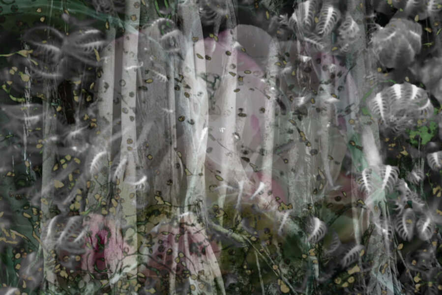 Biophilia 2