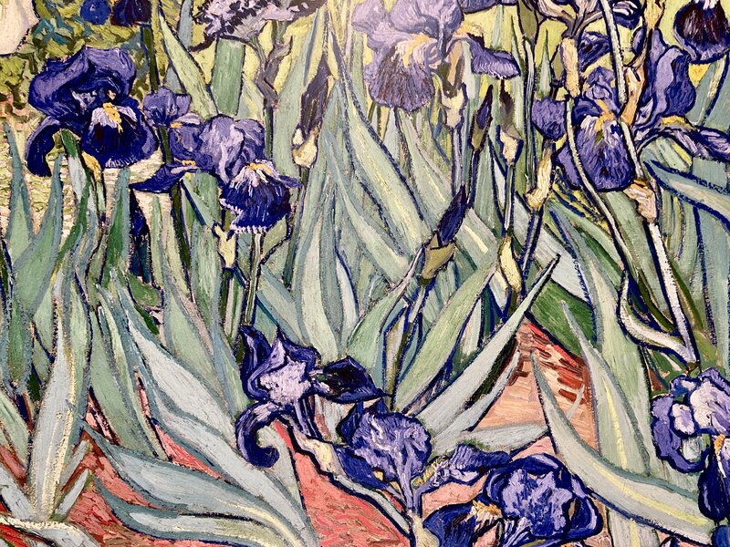 Vincent van Gogh, ‘Van Gogh, "Irises"Rare Museum Poster, 1889’, 2015, Ephemera or Merchandise, High Quality Museum Lithographic Exhibition Poster, David Lawrence Gallery