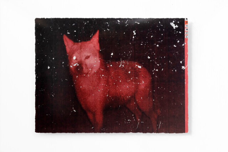 Earthware (wolf)