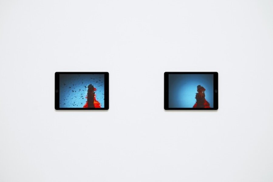 Venezia, Images Shown on Two Apple iPad Air 2s