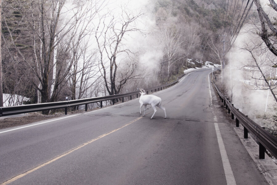 Deer Park Japan