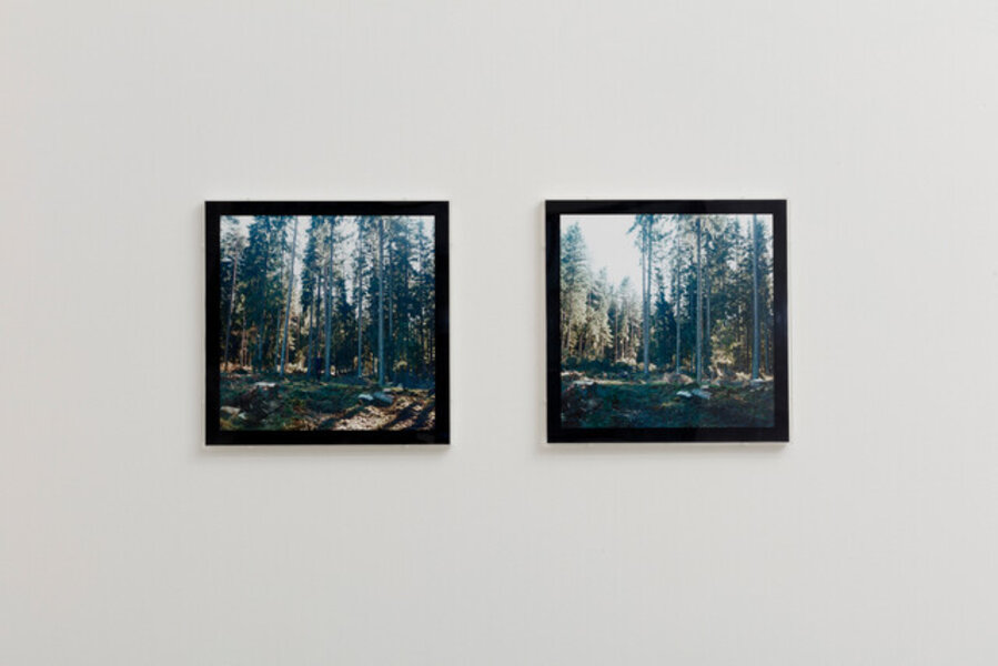 Untitled (Swedish fall)