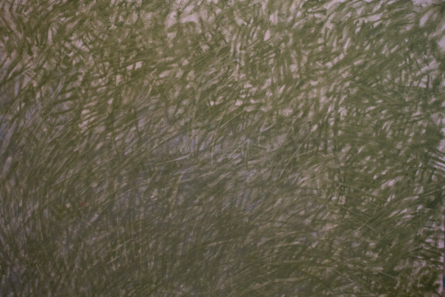 Untitled 5