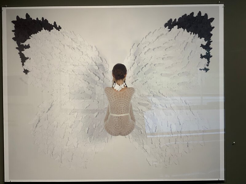 Natalia Arias, ‘White Glider’, 2012, Photography, Chromogenic Color, Atrium Gallery