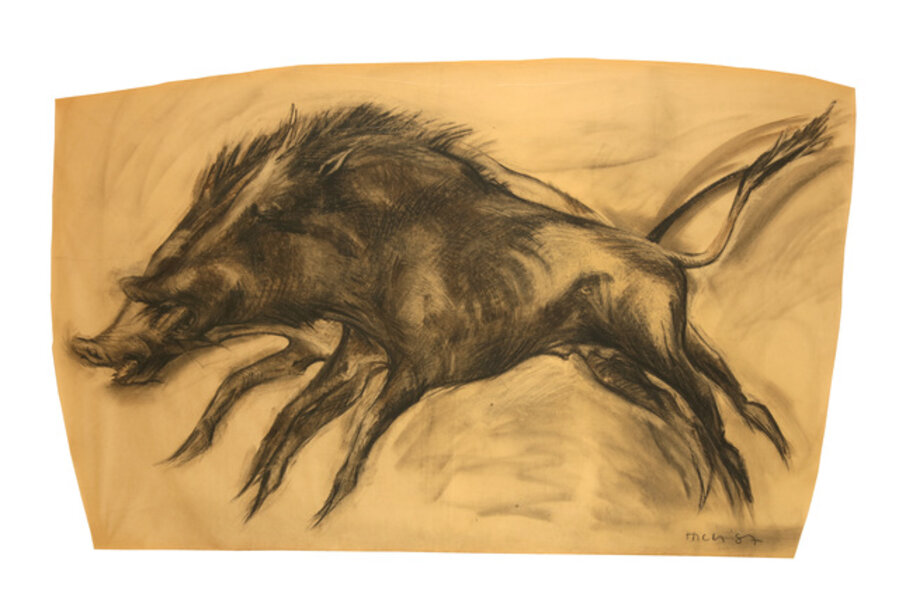 Wild boar