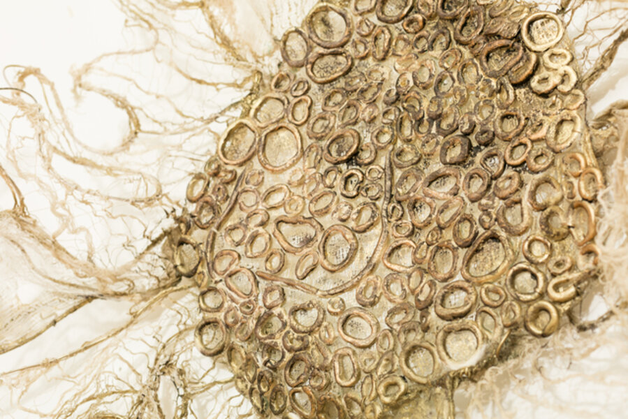 Resonance (detail)
