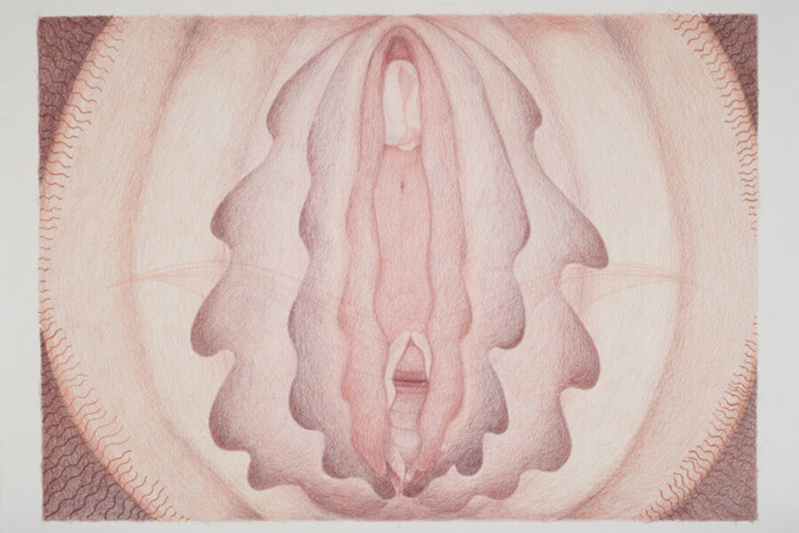 Vulva