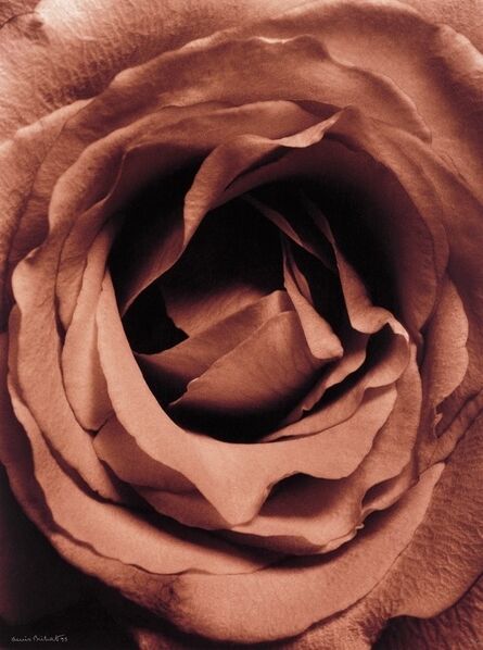 Denis Brihat, ‘Coeur de Rose’, 1994-printed 1995