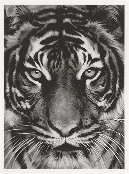 Robert Longo, ‘Tiger’, 2011
