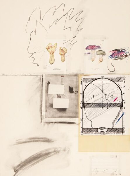 Cy Twombly, ‘Mushrooms Iv. From: Natural History Part I’, 1974