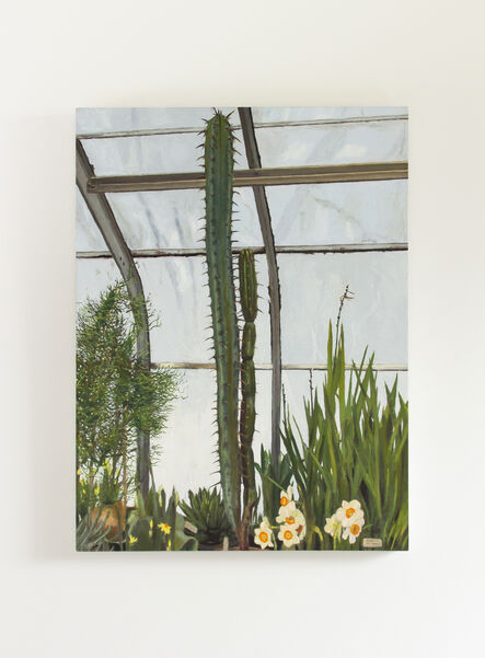 John Gordon Gauld, ‘Greenhouse Cactus (Day)’, 2019