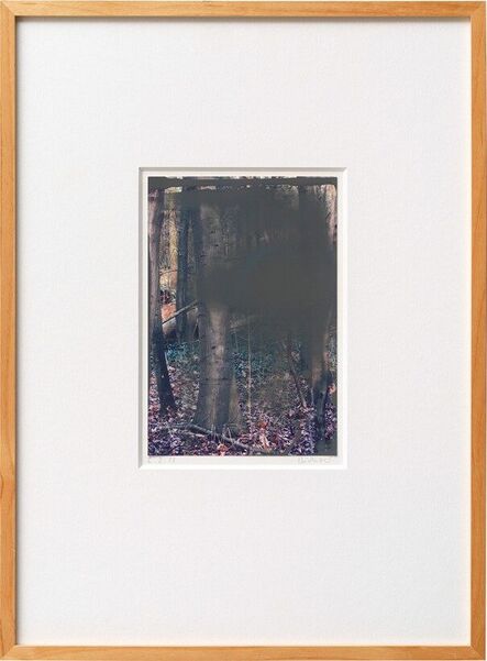 Gerhard Richter, ‘2.2.08 (Grauwald)’, 2008