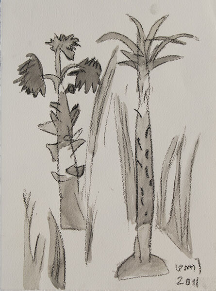 K. G. Subramanyan, ‘Palm Tree Series, Charcoal, Brush & Wash on Paper by Modern Artist "In Stock"’, 2011
