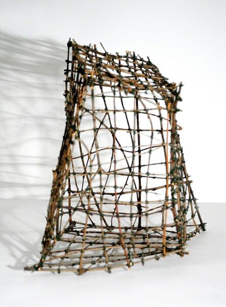 Julia Bloom, ‘Cage #1’, 2010
