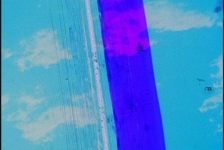 Skate the Sky Film