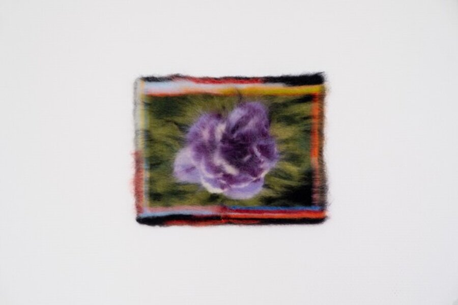 Pivoine V