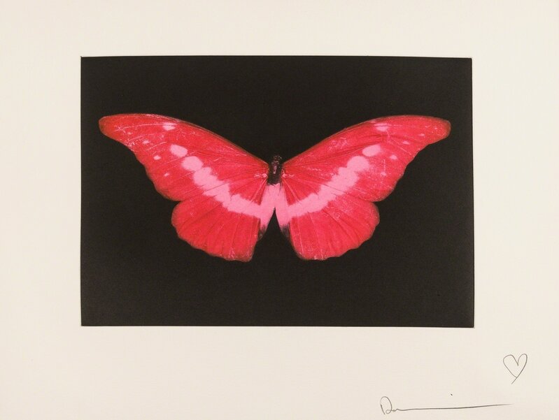 Damien Hirst, ‘To Lose (Red Butterfly)’, 2008, Photography, Photogravure and aquatint printed in colours, Forum Auctions
