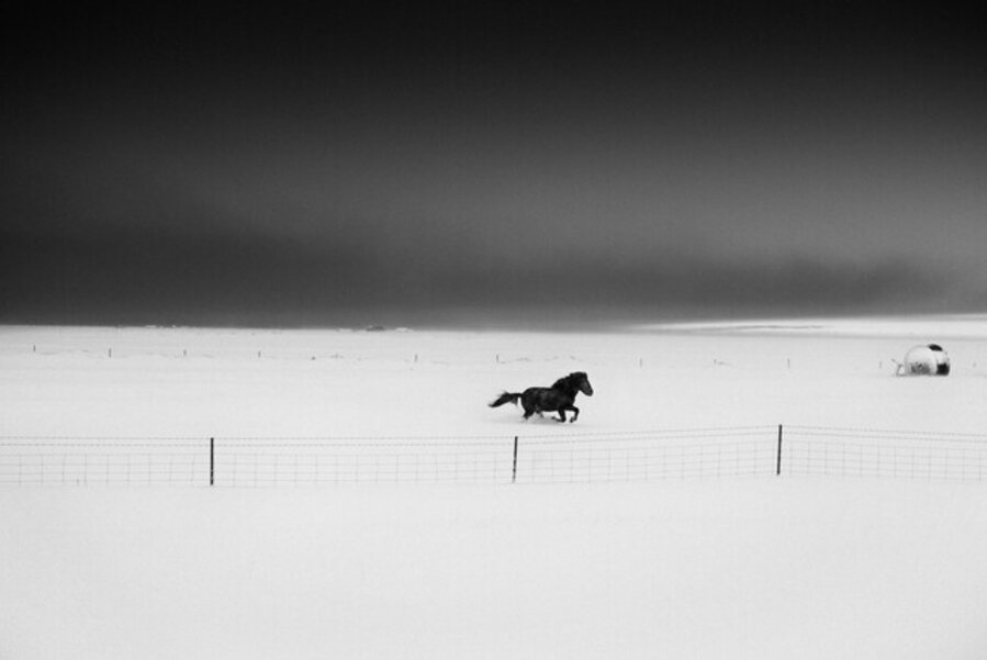 Freedom, Iceland