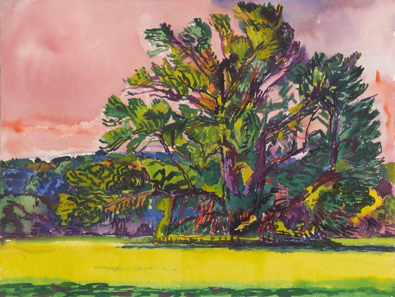 Graham Nickson, ‘Monumental tree - Serena’s Tree: Pink Sky’, 2000, Drawing, Collage or other Work on Paper, Watercolor on paper, New York Studio School 