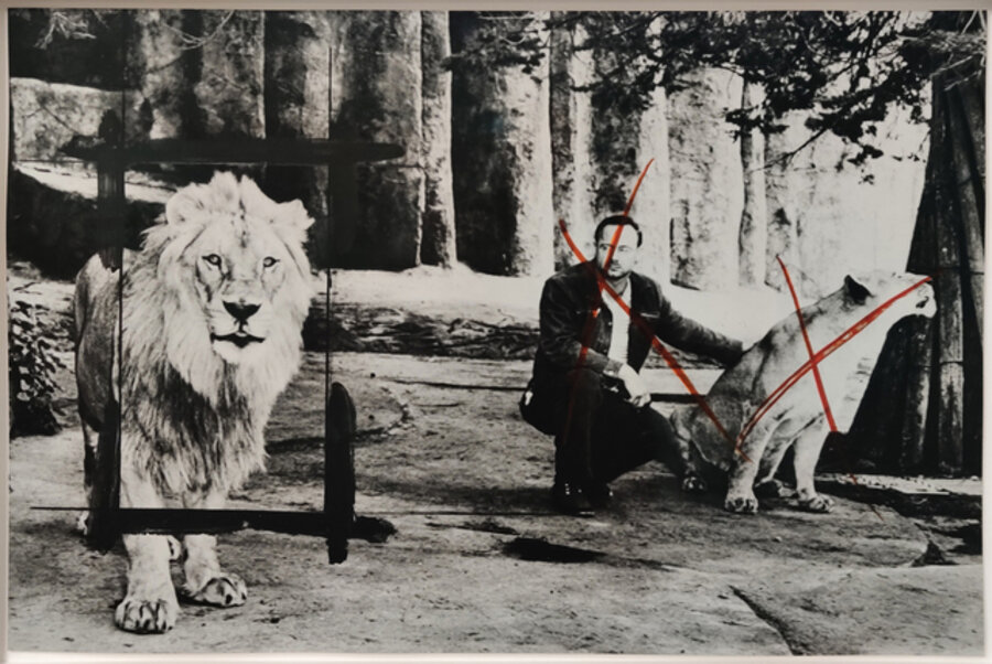 Little History of Subjugation. Animals: Lion