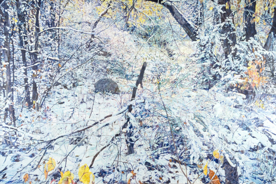 First Snow, Santa Fe