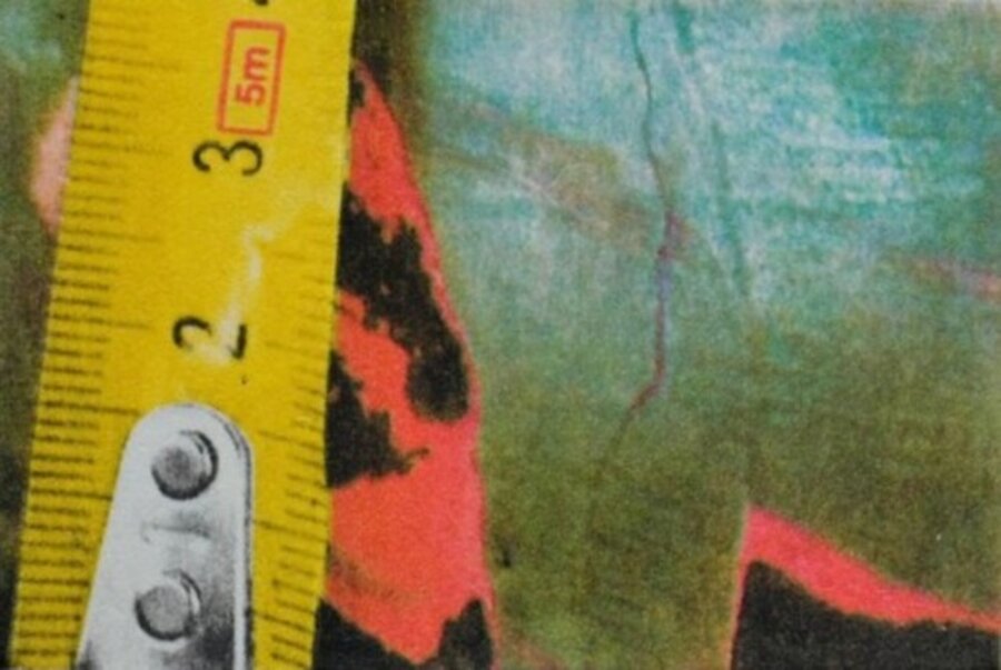Untitled (Rulers III)