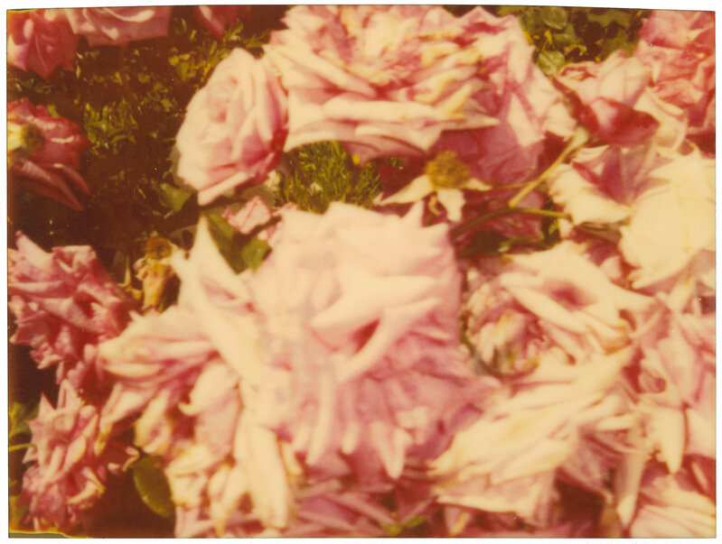 Stefanie Schneider, ‘Rosegarden #01, diptych’, 2004, Photography, Analog C-Prints, hand-printed by the artist on Fuji Crystal Archive Paper, matte surface, based on 2 Polaroids, not mounted, Instantdreams