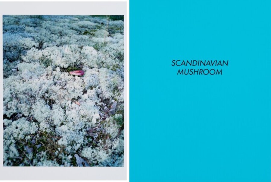 Scandinavian Mushroom (Special Edition) (two works)