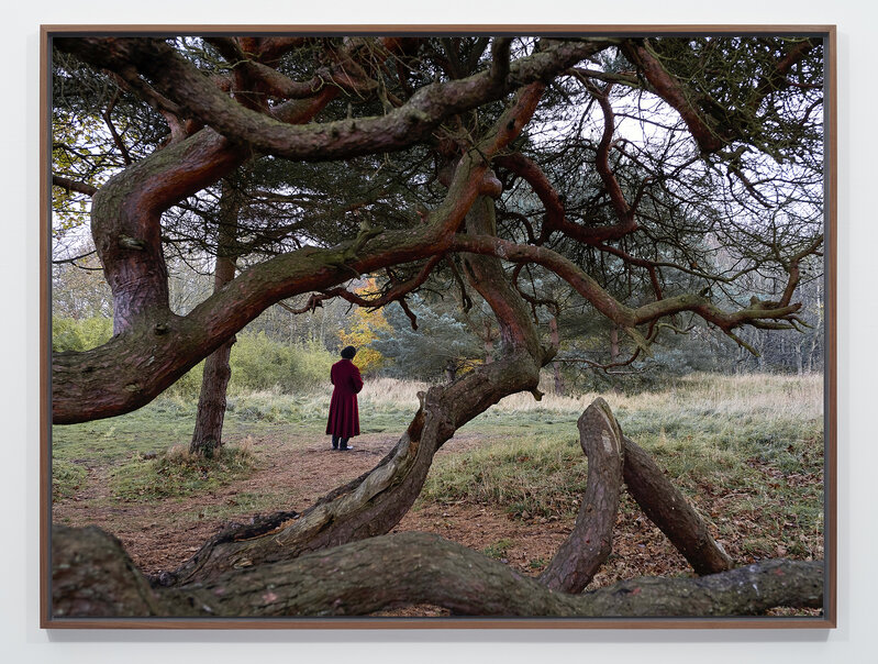 Isaac Julien, ‘Rapture 1846 (Lessons of the Hour)’, 2019, Photography, Photograph on matt structured paper mounted on aluminum, Jessica Silverman