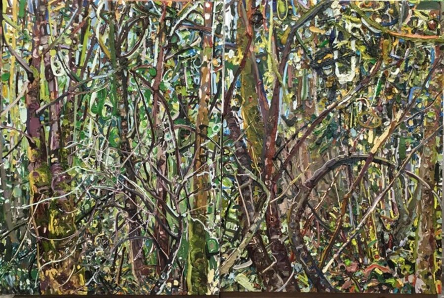 Hyperbolic Nature--Washington Woods (diptych)