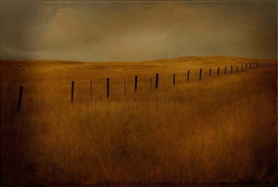 Fenceline
