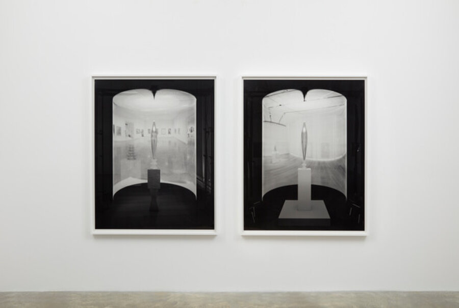 Two Birds, No Birds – A Mirrored Displacement (Proposal for an Inter-Institutional Exchange)/Text