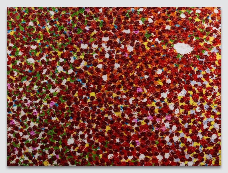 Damien Hirst, ‘H4-7. Ryoanji’, 2020, Print, Diasec-mounted giclée print in colours on aluminium panel, Forum Auctions