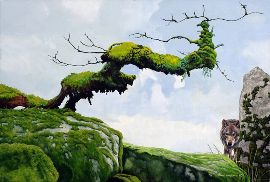 Rewilding Dartmoor