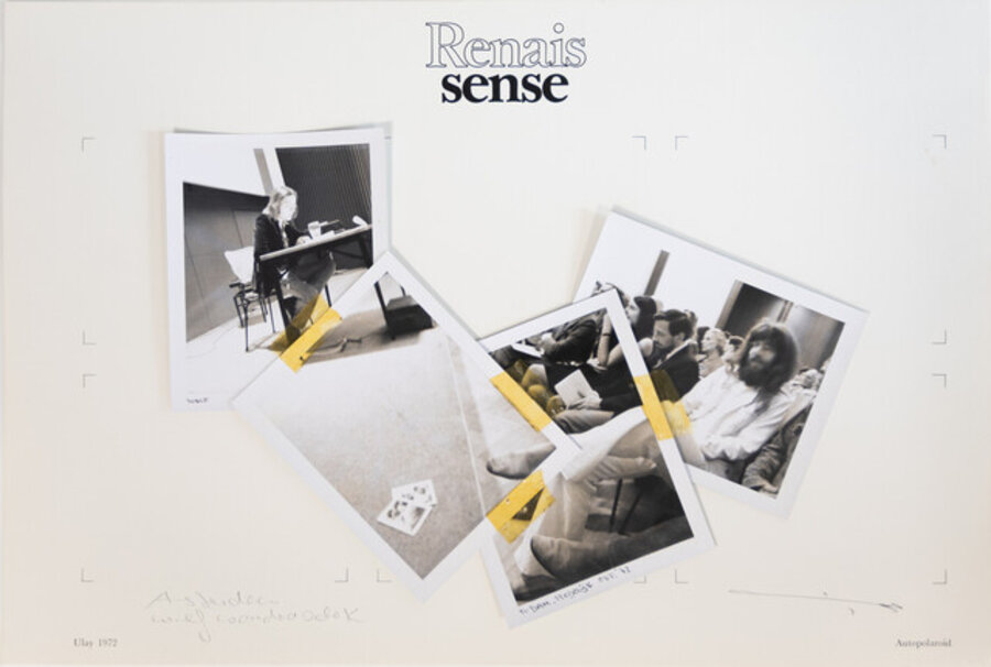 Untitled (from the series "Renais sense")
