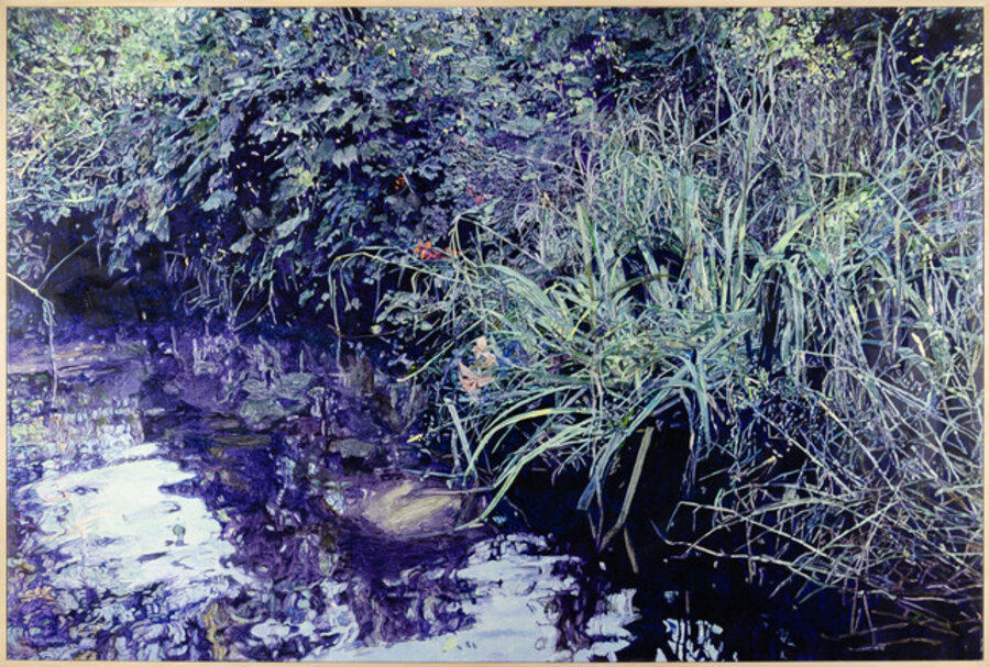 Bullfrog Creek
