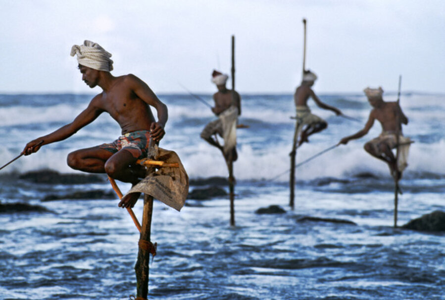 Stilt fishermen, Weligama, Sri Lanka