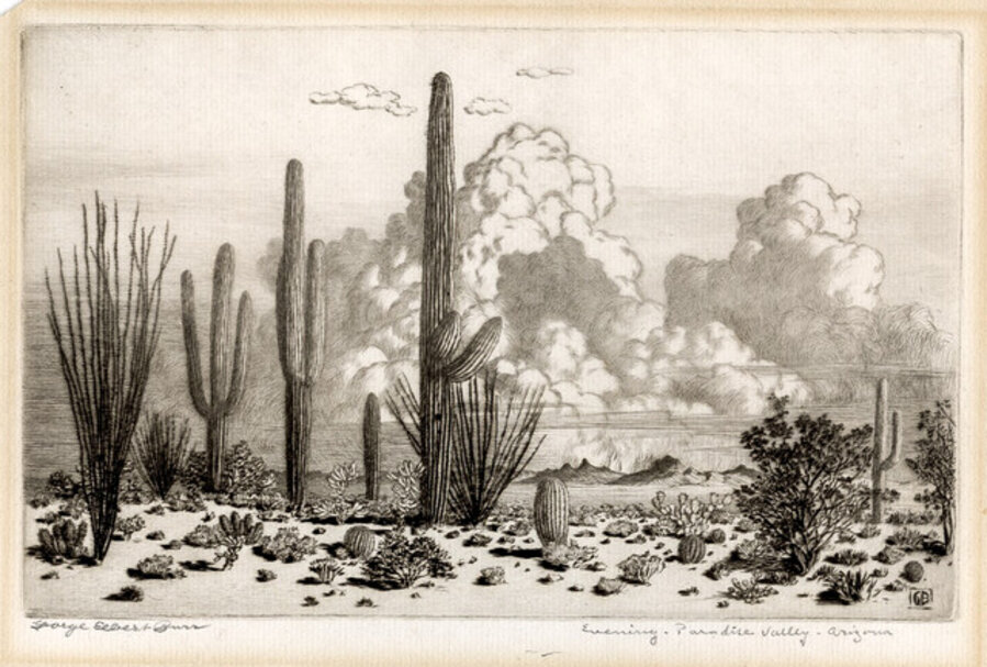 Evening, Paradise Valley