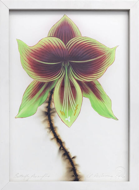 L.C. Armstrong, ‘Butterfly Amaryllis’, 2010