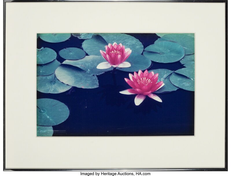 Allan Bruce Zee, ‘Lily Pads, Balboa Park, San Diego, California (two photographs)’, 1984, Photography, Dye coupler, Heritage Auctions