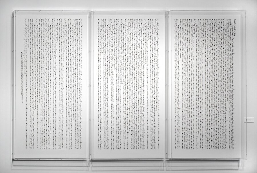 Manuscript of Nature VIII 自然的手稿之八