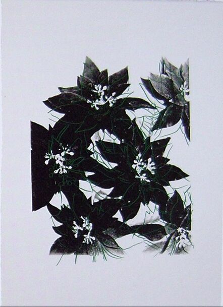 Andy Warhol, ‘Poinsettias’, ca. 1983