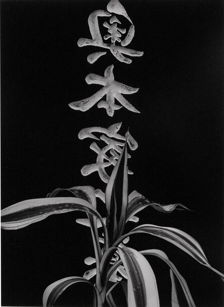 Brett Weston, ‘Japanese Funeral Arrangement’, 1995