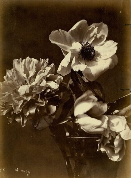 Charles Aubry, ‘Flower Arrangement (#15)’, c. 1860's