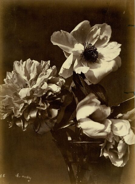 Charles Aubry, ‘Flower Arrangement (#15)’, ca. 1860