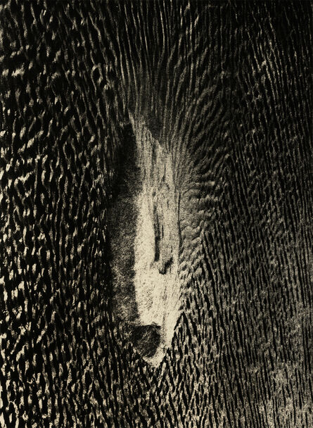 Andrej Lamut, ‘Fish’, 2018