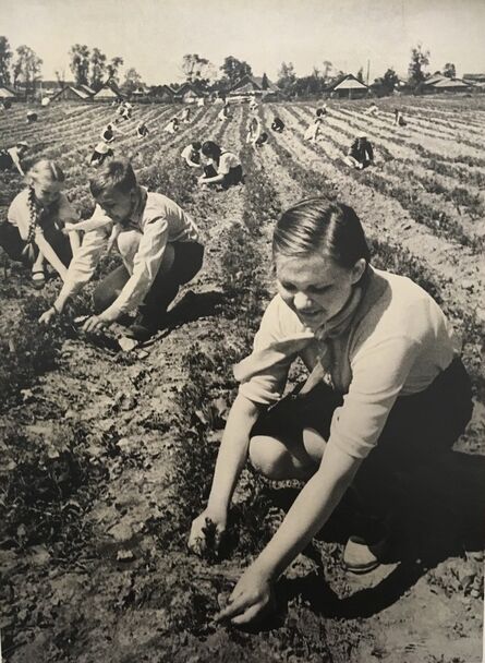 Mikhail Grachev, ‘Agriculture in the War Years, Schoolgirls Help Collective Farms’, 1941