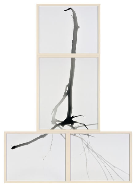 Gerda Schütte, ‘Untitled (from the series »Branches«, tableau, white, 4-partite)’, 2022