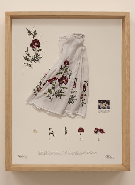 Alberto Baraya, ‘Poopy flower skirt (Lámina 06). Expedición Allapattah. Herbario de plantas artificiales’, 2019